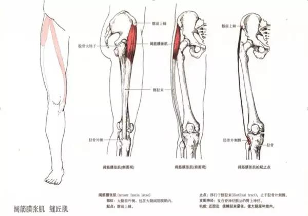 骨坏死病友座谈会明日（11月9日），与您不见不散！