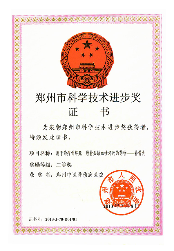 郑州市科学技术进步奖：用于治疗骨坏死、股骨头缺血性坏死的药物——补骨丸