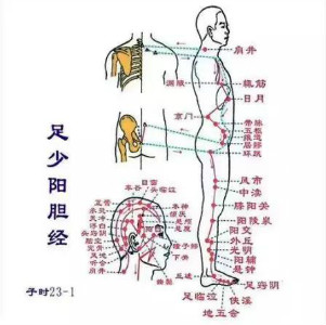 【养生大课堂】十二时辰养生系列1——子时