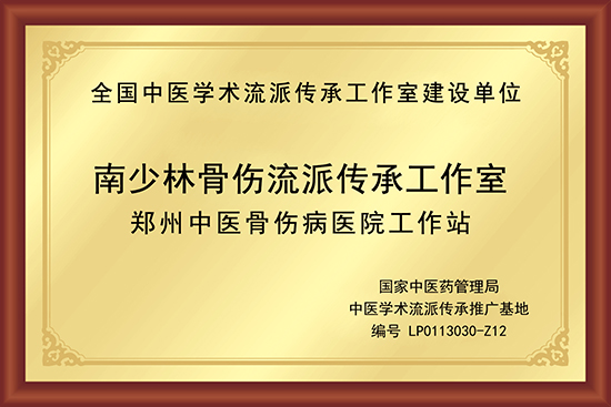 南少林骨伤流派传承工作室